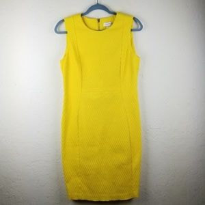 Calvin Klein Textured Sleeveless Sheath Dress